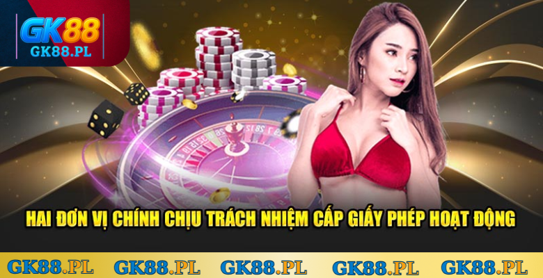 hai-don-vi-chiu-trach-nhiem-chinh-cap-giay-phep-hoat-dong